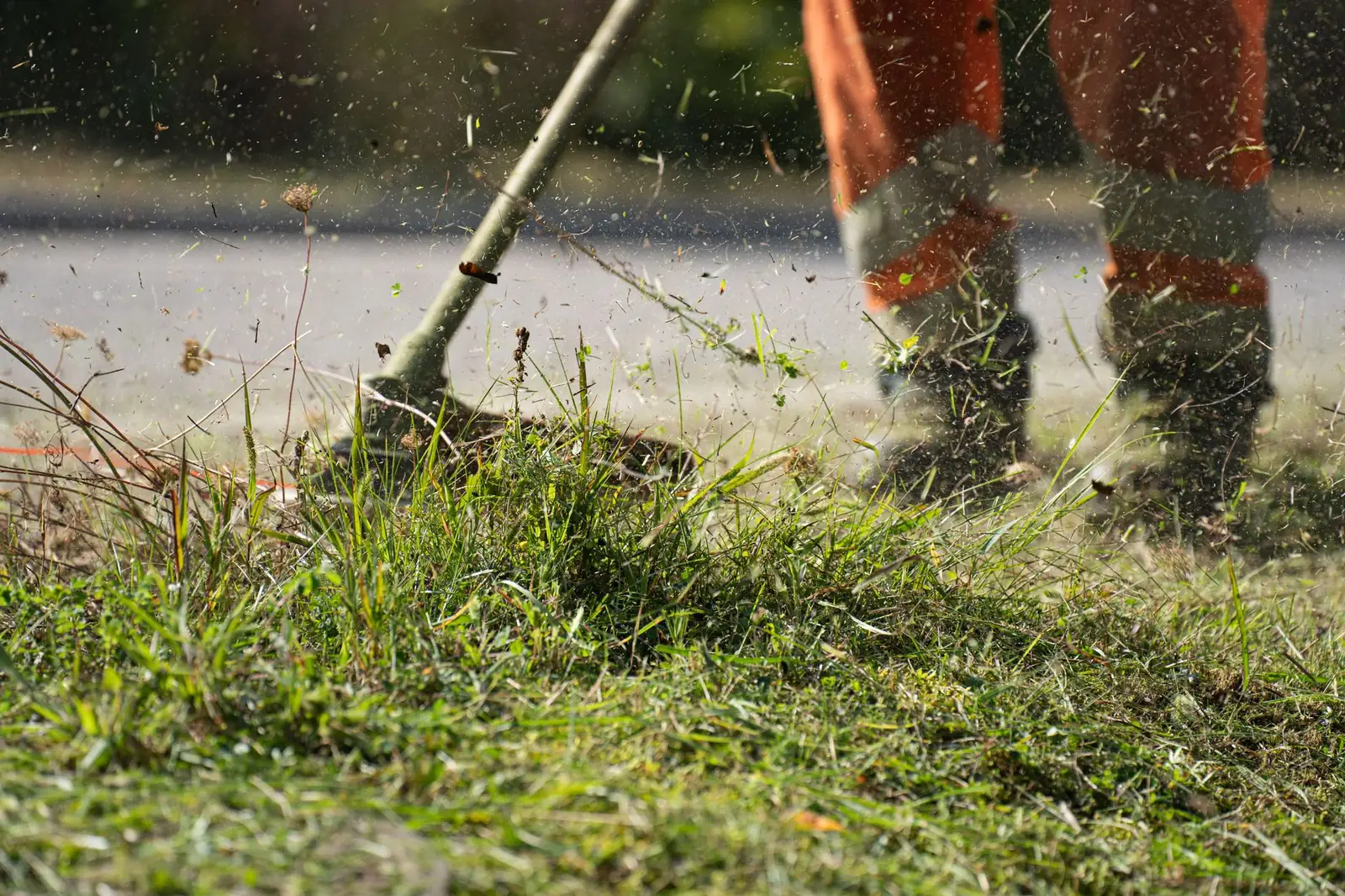 Trimming grass along a walkway